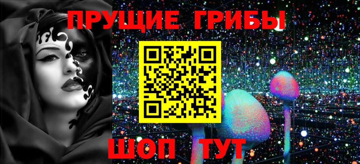 Бутурлиновка  Галлюциногенные грибы мицелий  Вход с VPN  Псилоцибиновые грибы GOLDEN TEACHER 
